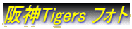 _Tigers tHg