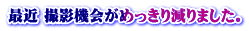 最近 撮影機会がめっきり減りました。