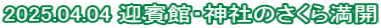 2025.04.04 }oفE_Ђ̂疞J